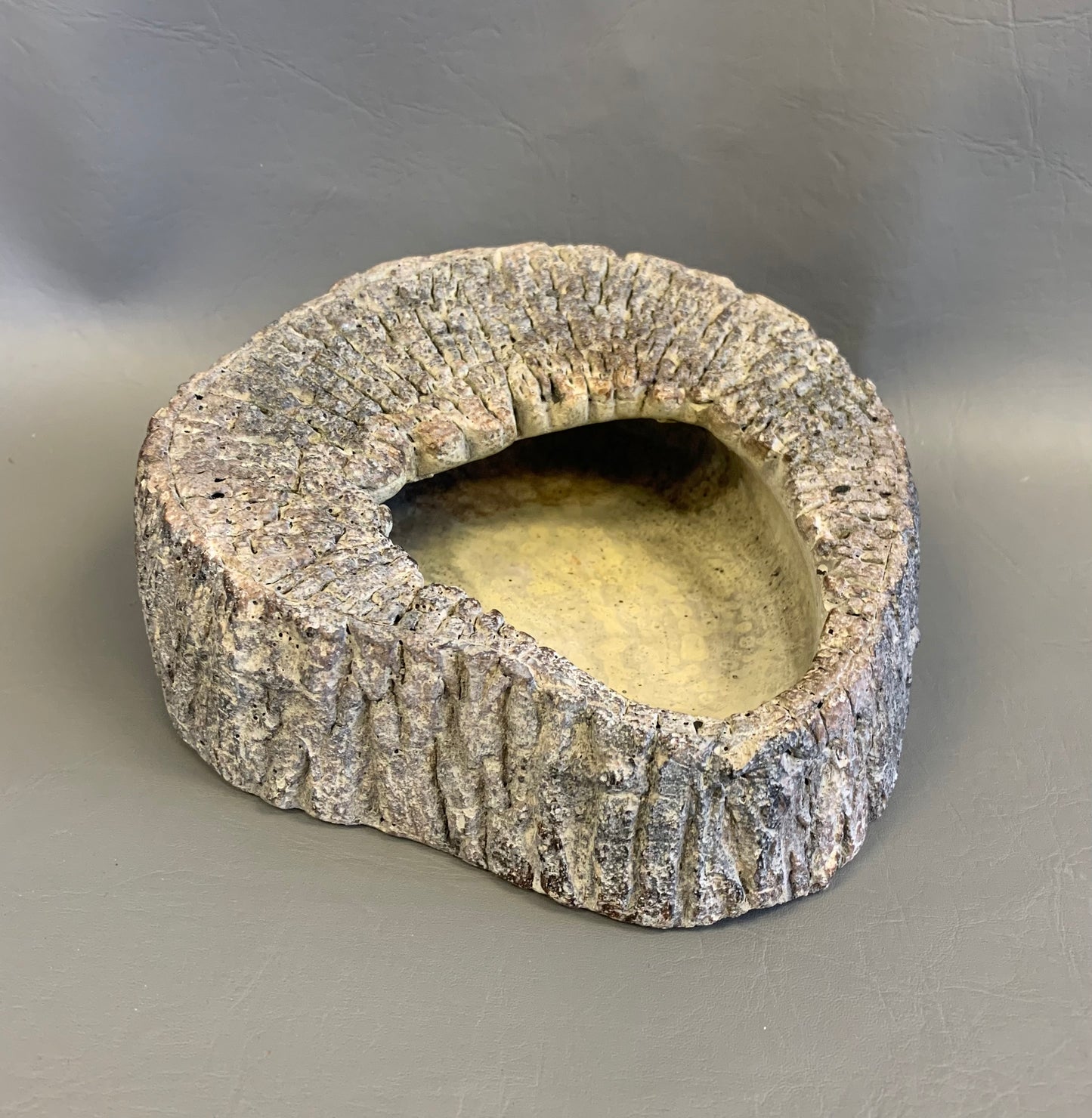 Jurassic Cement Wall Planter – 8” x 8” x 2.5”