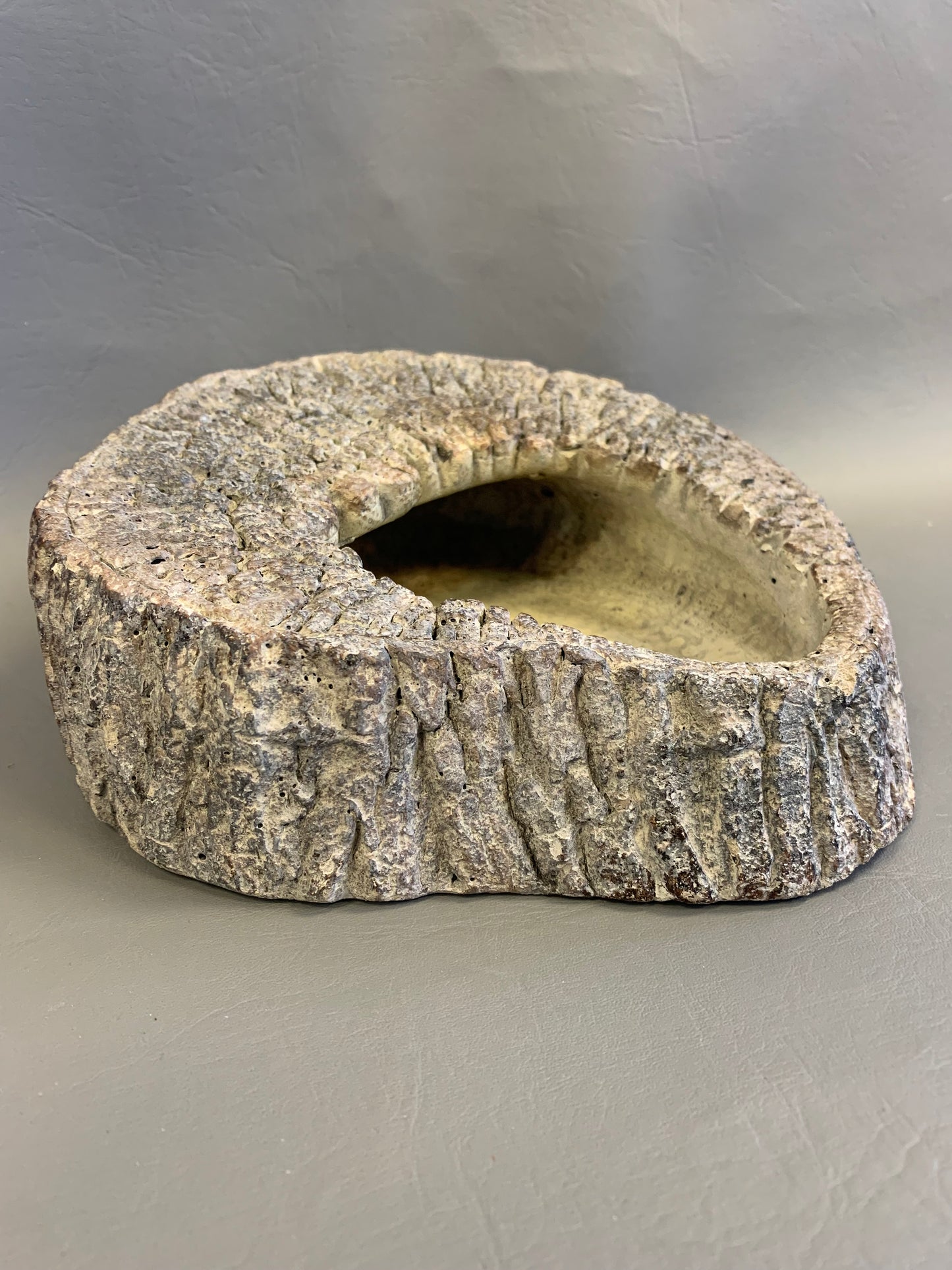 Jurassic Cement Wall Planter – 8” x 8” x 2.5”