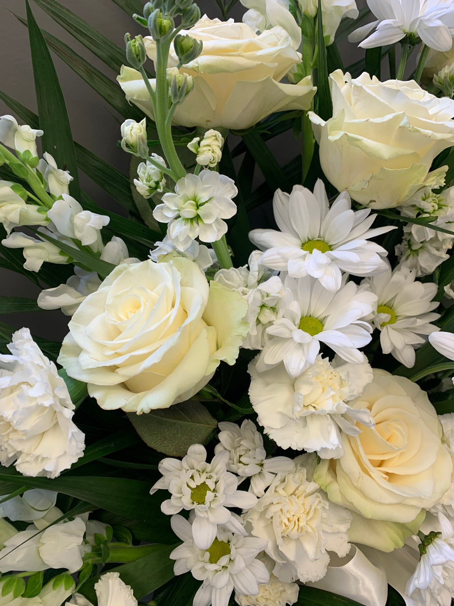 In Loving Memory