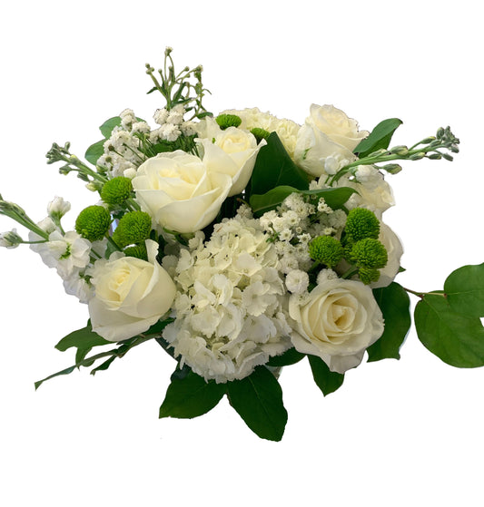 Classic White and Green