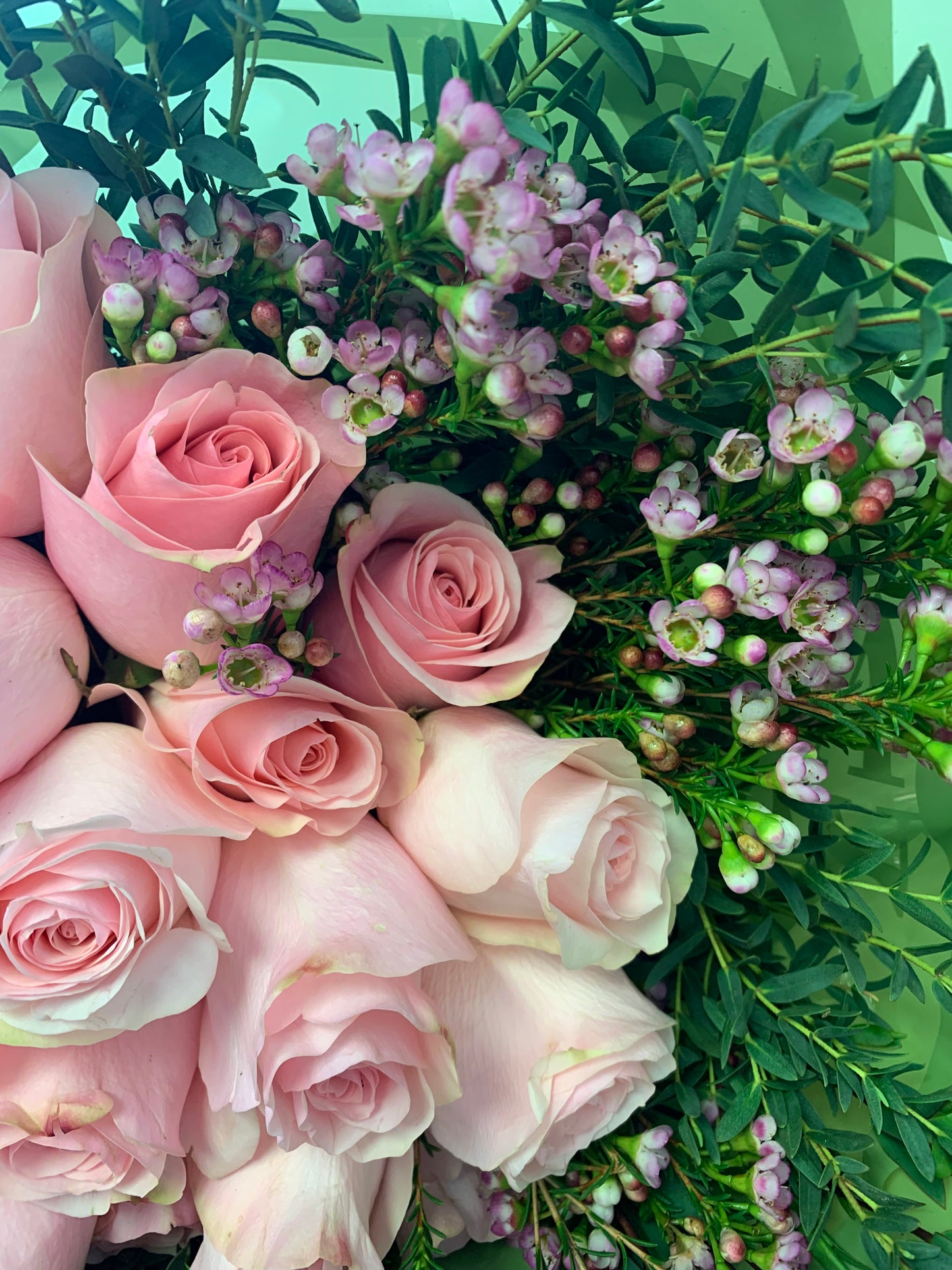 The Pink English Garden – 24 Pink Roses with Waxflower & Eucalyptus Halo