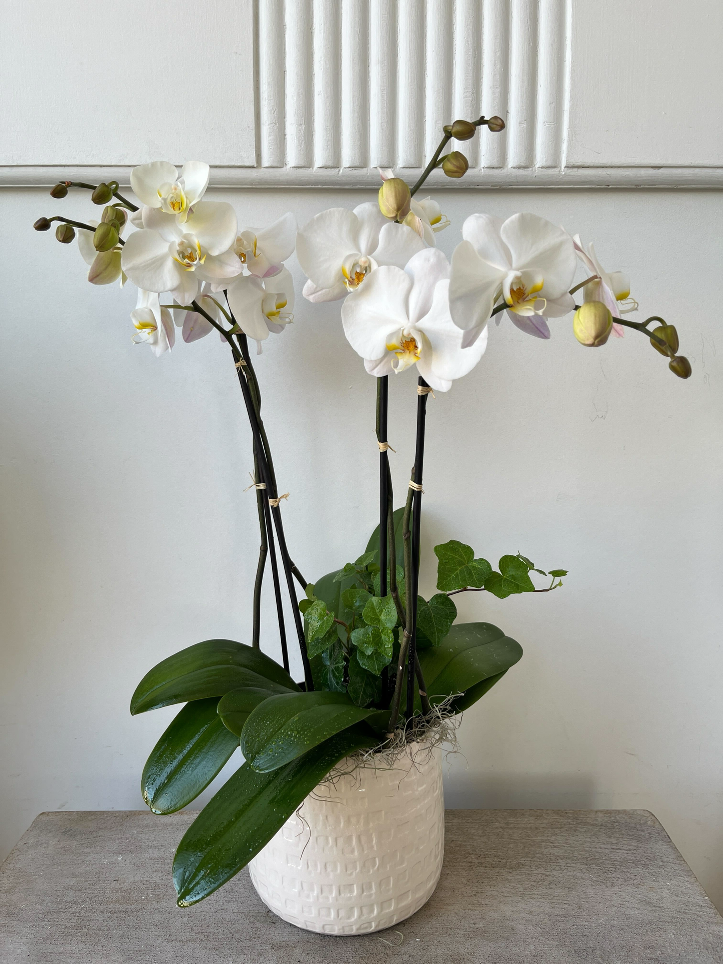 Double Stemmed Orchid Arrangement