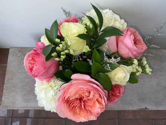 Little Pink Little White