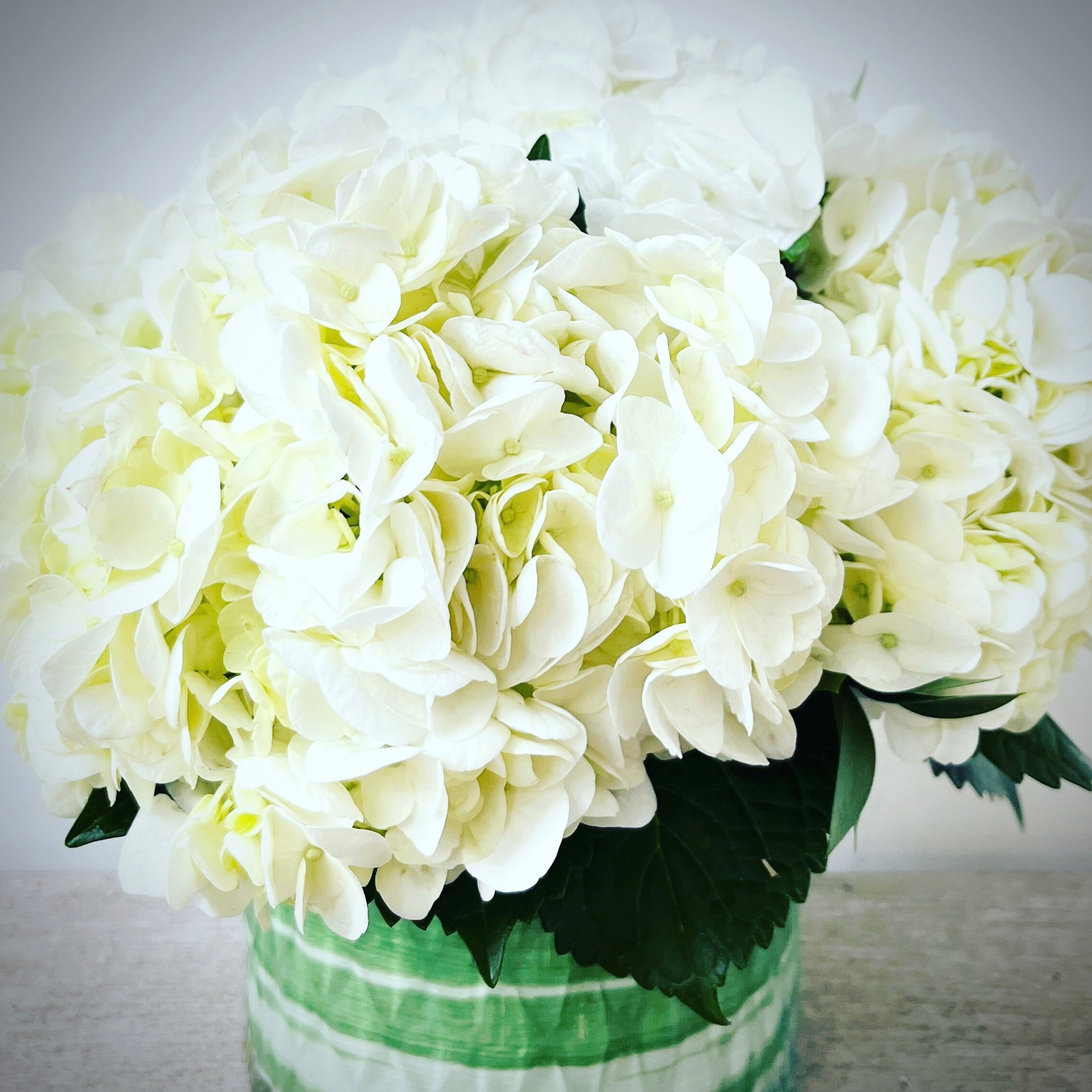 Fresh white hydrangea centrepiece in glass cylinder vase for event or wedding