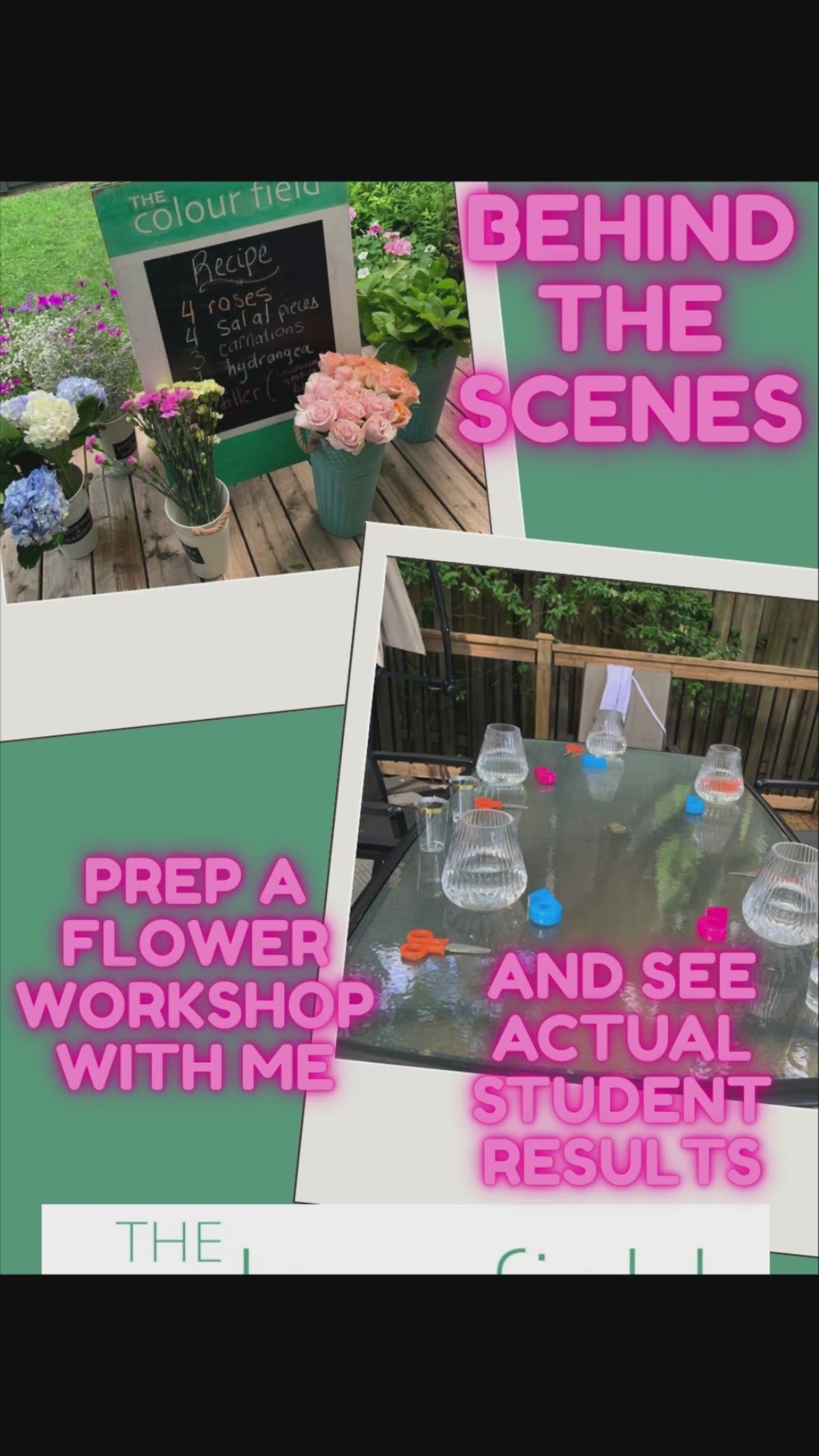 Load video: What your workshop includes and actual student results